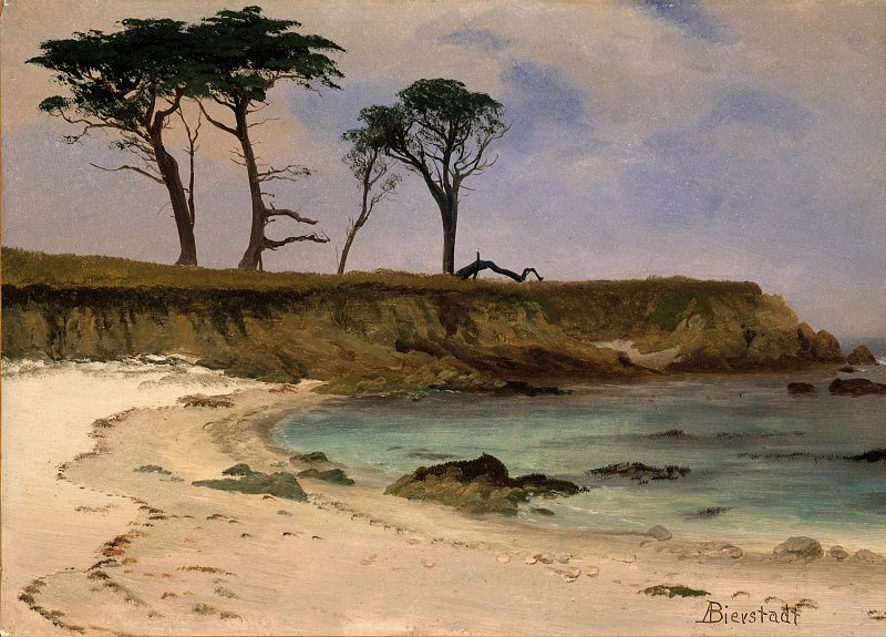 Albert Bierstadt – Sea Cove, Metropolitan Museum: part 3