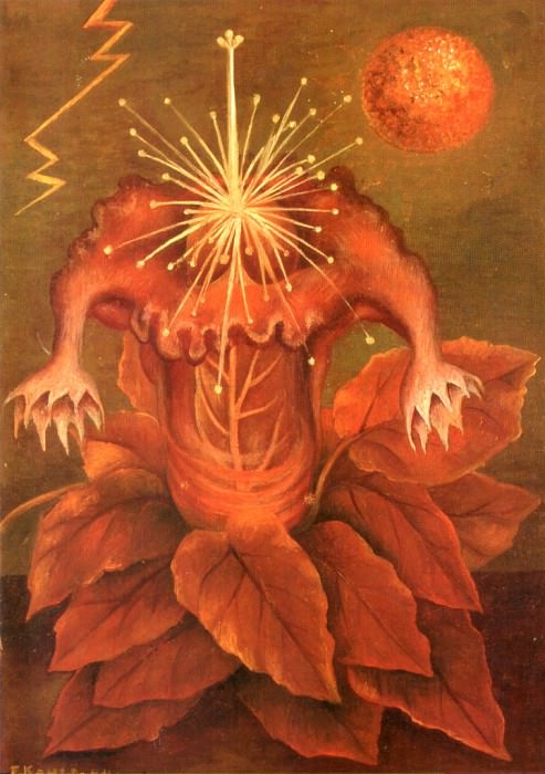 Fleur de la vie , Frida Kahlo