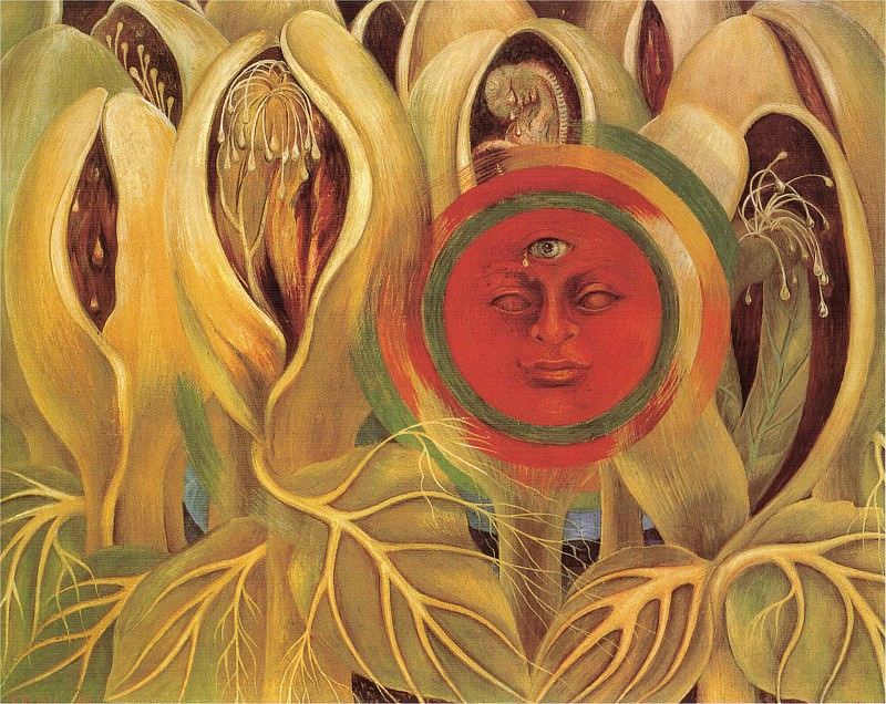 Солнце и жизнь, Фрида Кало