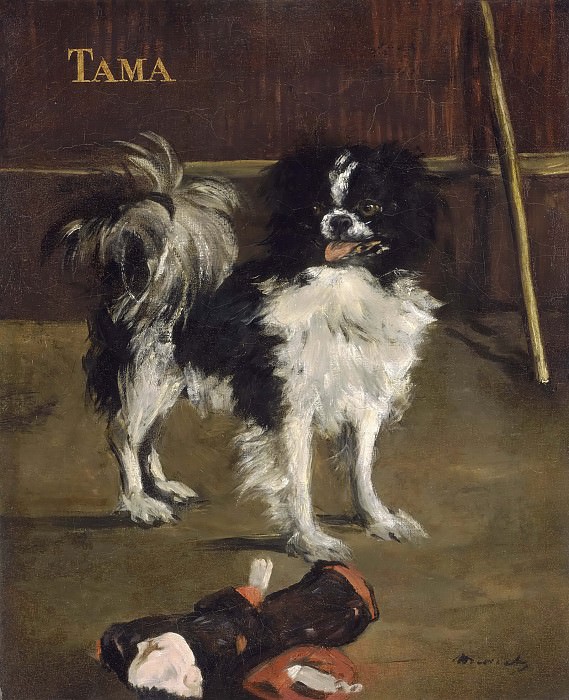 Тама, японская собака, Эдуард Мане