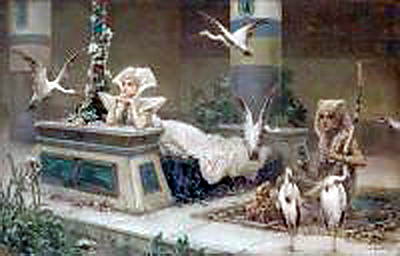 ibis, Wilhelm Kotarbiński