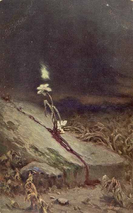 wandering fire, Wilhelm Kotarbiński