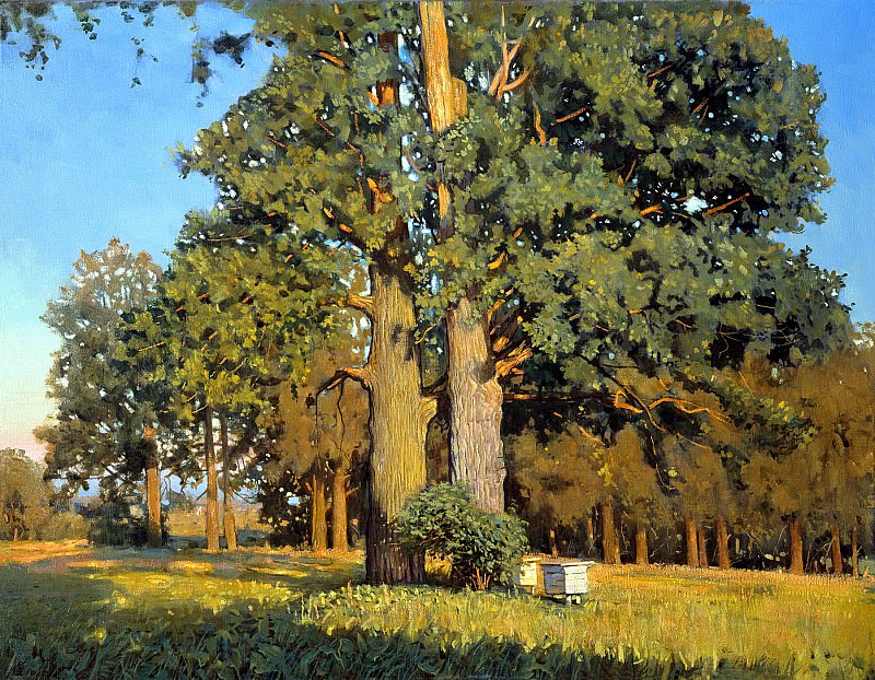 ANOKHIN Nicholas – Old oaks, 900 Classic russian paintings