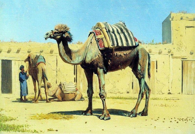 camel in the courtyard of the caravanserai. 1869-1870, Vasily Vereshchagin