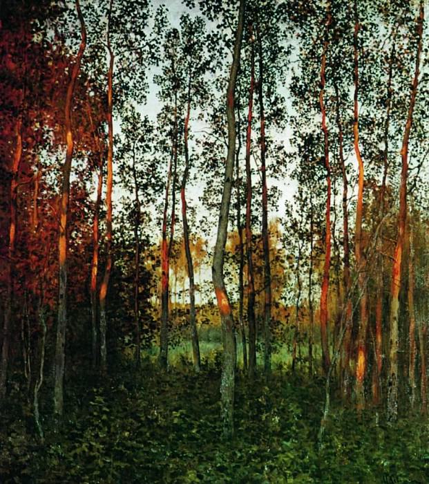 Последние лучи солнца. Осиновый лес. 1897, Исаак Ильич Левитан