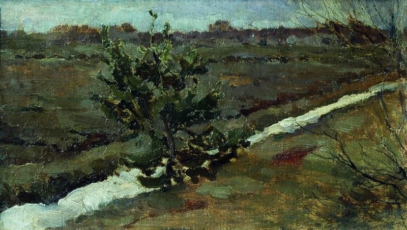 Early spring. Young pine, Isaac Ilyich Levitan