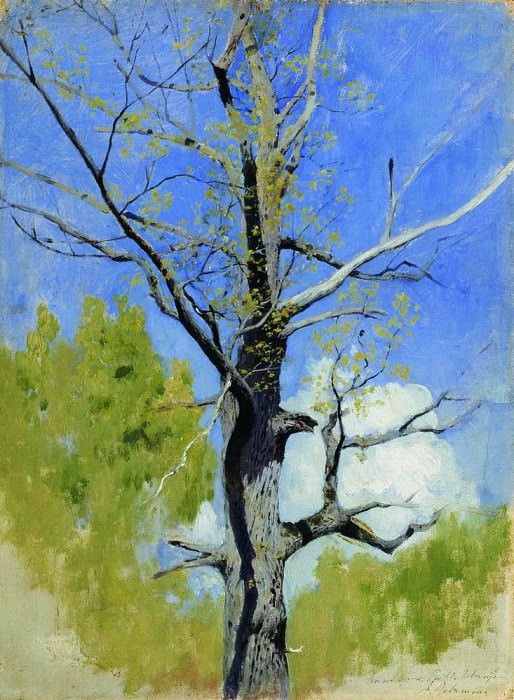 Barrel dissolving oak. 1883-1884, Isaac Ilyich Levitan