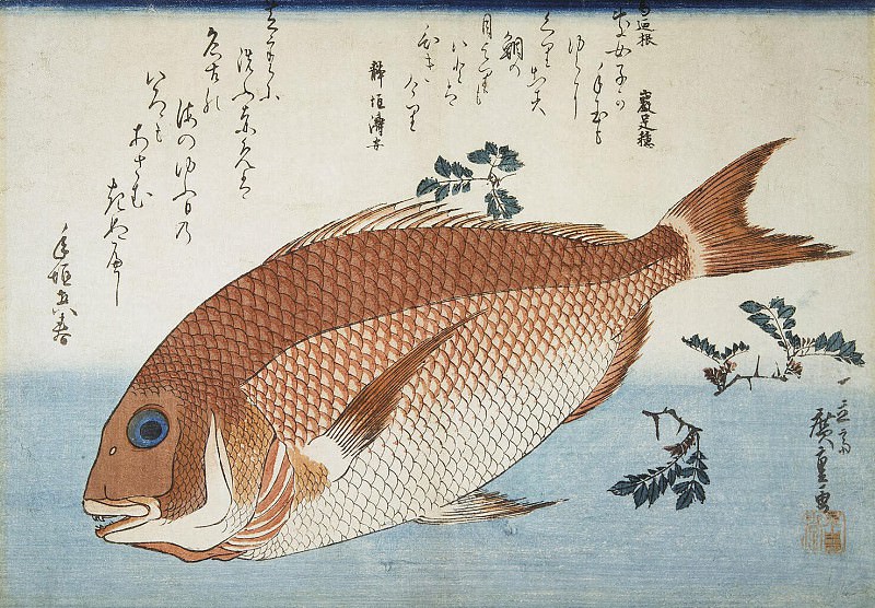 Ando Hiroshige – Sheet Red sea bream, Hermitage ~ Part 01
