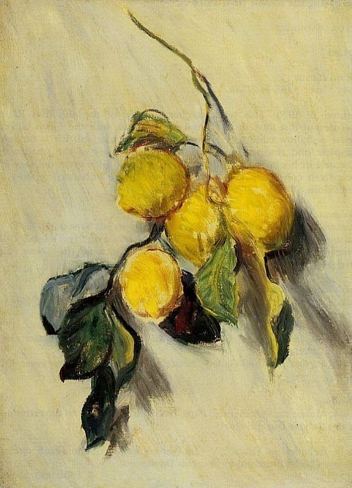 Branch of Lemons, Claude Oscar Monet