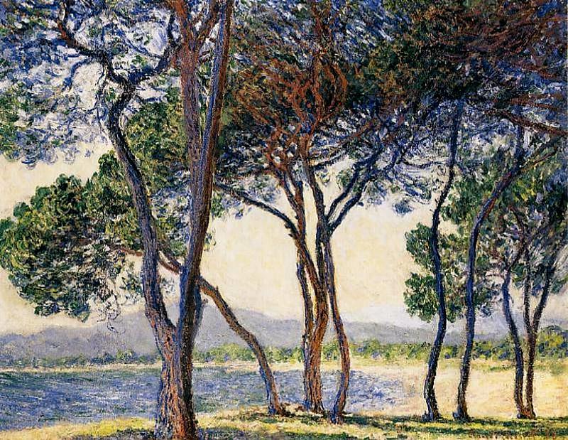 Trees by the Seashore at Antibes, Claude Oscar Monet