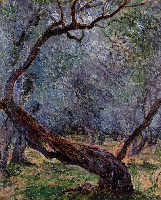 Оливковые деревья , Клод Оскар Моне