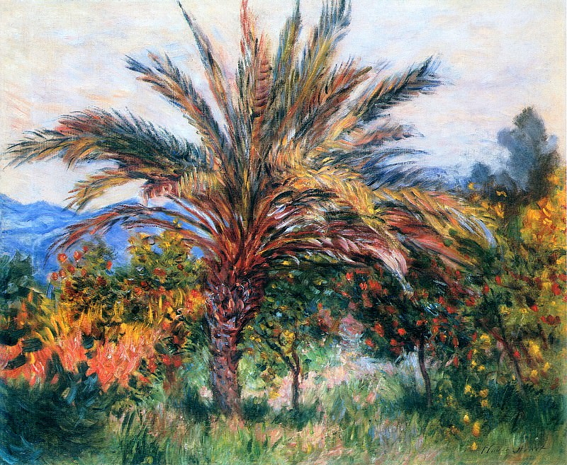 Palm Tree at Bordighera, Claude Oscar Monet