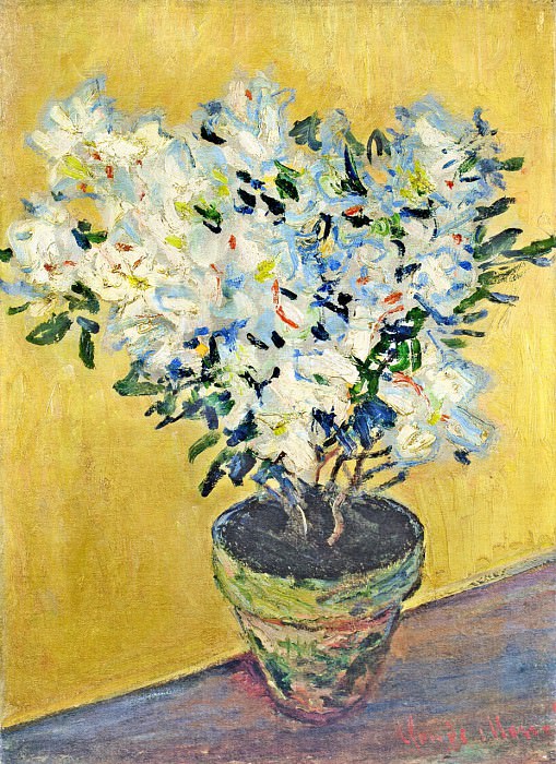 White Azaleas in a Pot, Claude Oscar Monet
