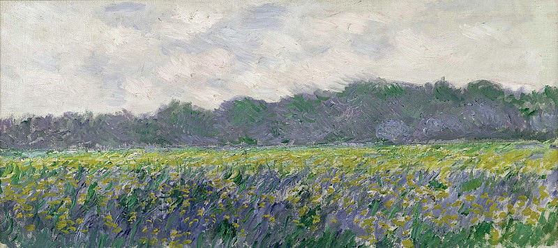 Field of Yellow Irises at Giverny, Claude Oscar Monet