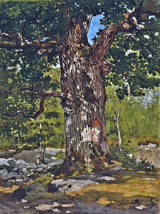 The Bodmer Oak, Claude Oscar Monet