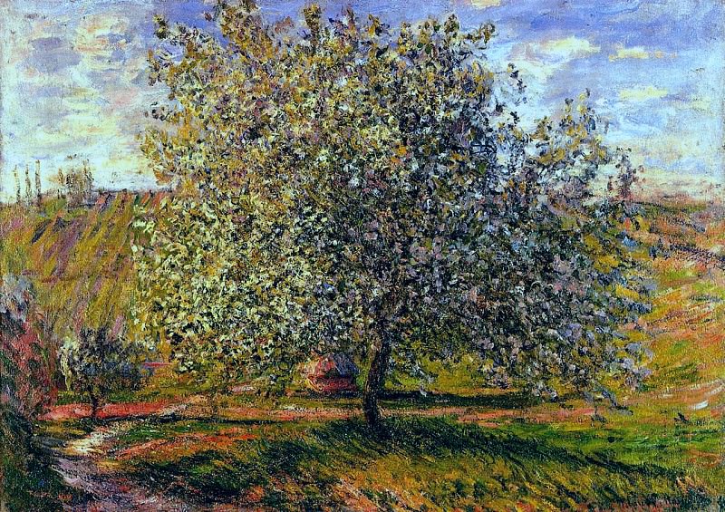 Tree in Flower near Vetheuil, Claude Oscar Monet