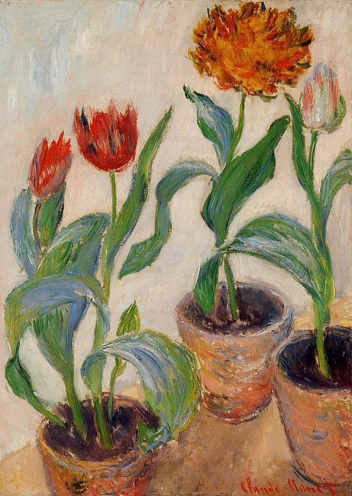 Three Pots of Tulips, Claude Oscar Monet