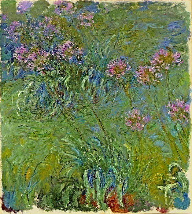 Agapanthus Flowers, Claude Oscar Monet