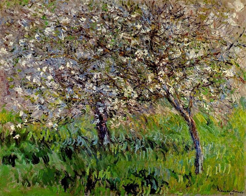 Apple Trees in Bloom at Giverny, Claude Oscar Monet