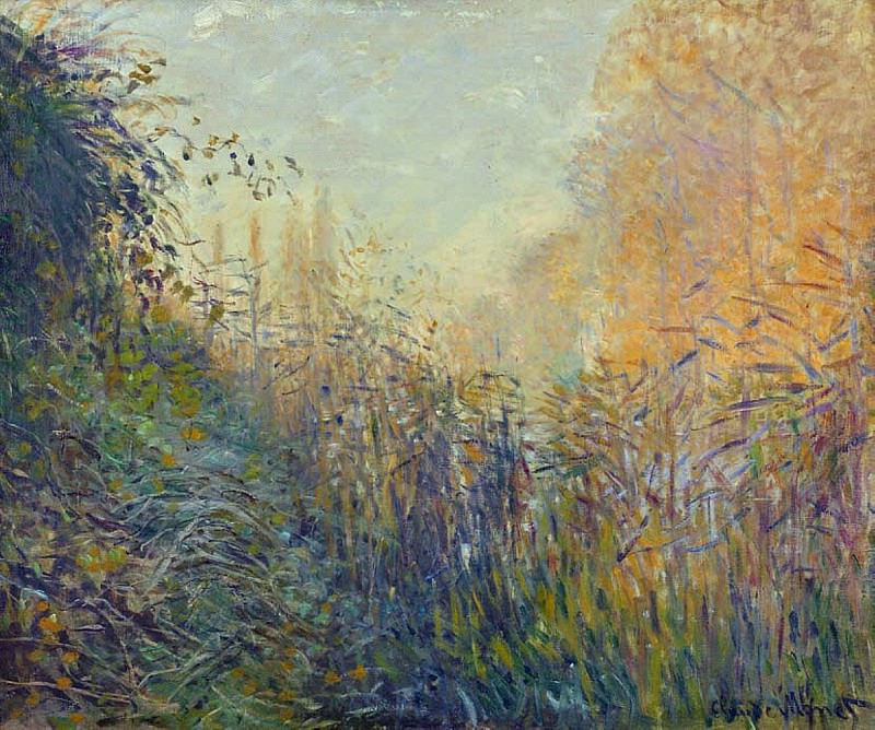 Etude de joncs a Argenteuil, Claude Oscar Monet