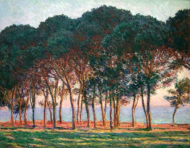 Under the Pine Trees at the End of the Day, Claude Oscar Monet