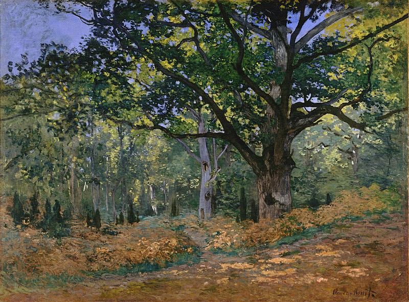 The Bodmer Oak, Fontainebleau, Claude Oscar Monet