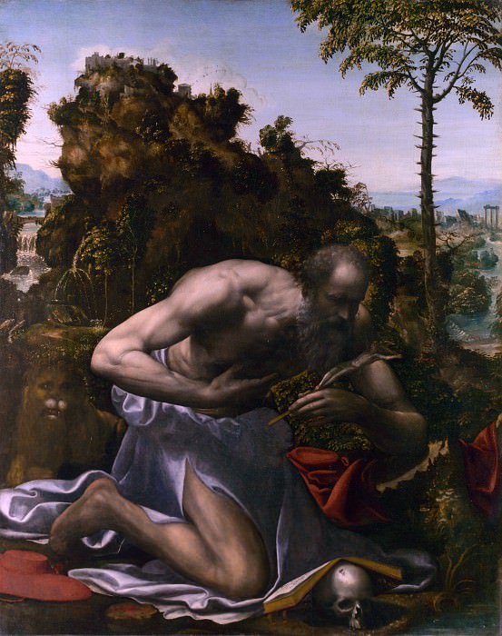 Sodoma – Saint Jerome in Penitence, Part 6 National Gallery UK