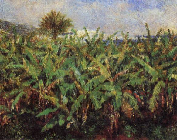 Поле банановых деревьев, Пьер Огюст Ренуар