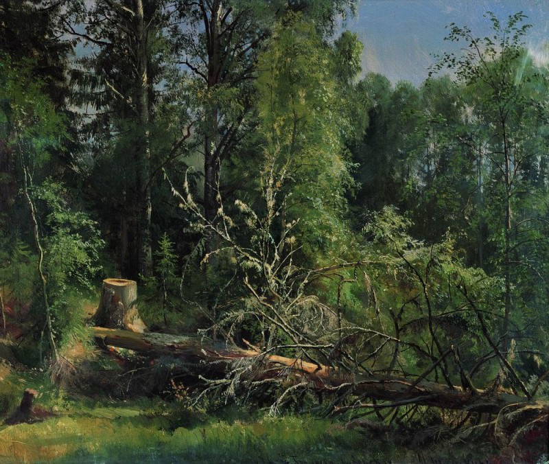 Срубленное дерево 1875 50х59, Иван Иванович Шишкин