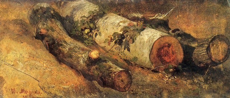 Felled birch. 1864 18, 8h44, 5, Ivan Ivanovich Shishkin