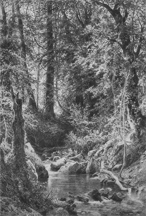Лесной ручей 1880 77, 4х61, 4, Иван Иванович Шишкин