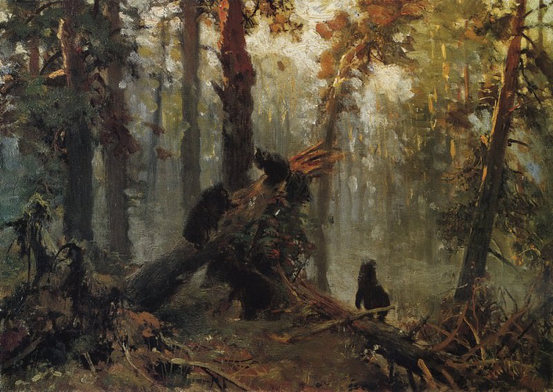 Morning in the AS. forest. Sketch 1889 28, 3h40, 1, Ivan Ivanovich Shishkin