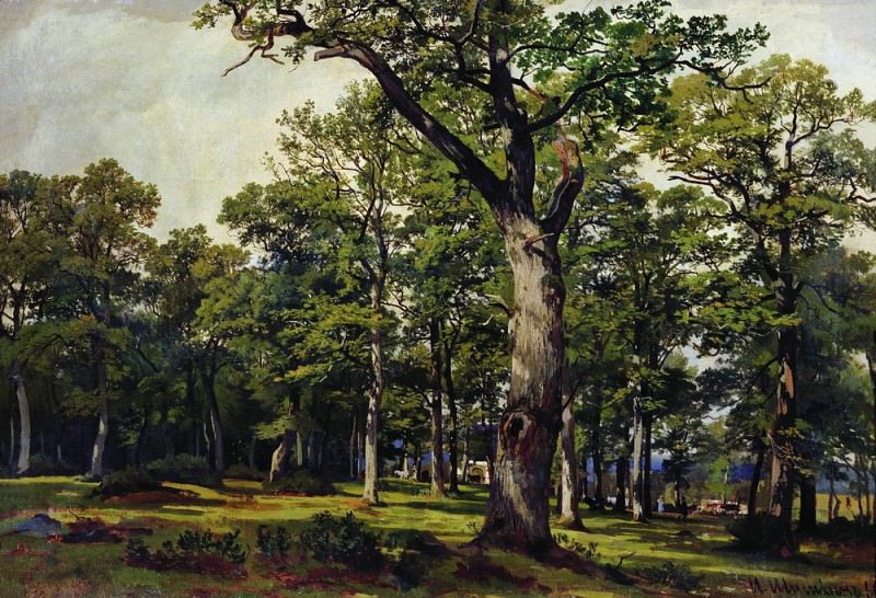 Дубовый лес 1869 55. 8х82, Иван Иванович Шишкин