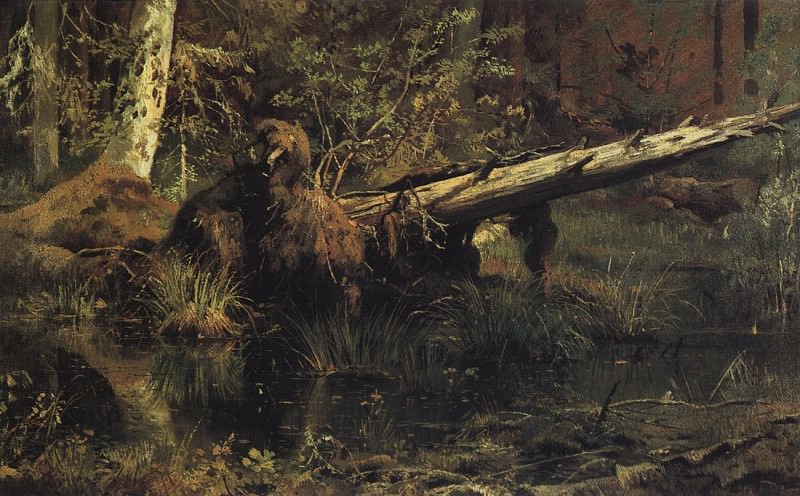 Forest . 1888 35h59. 5, Ivan Ivanovich Shishkin