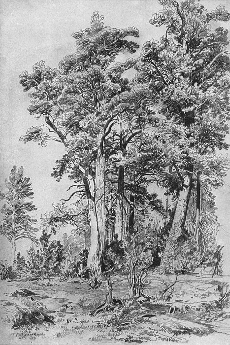 In the forest 1889 69. 1h40, 1, Ivan Ivanovich Shishkin