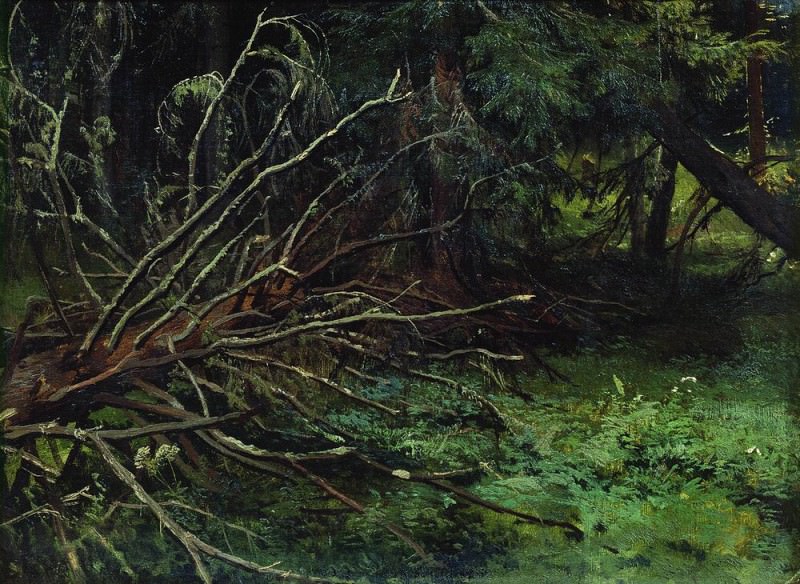 In the fir forest 39h51, Ivan Ivanovich Shishkin
