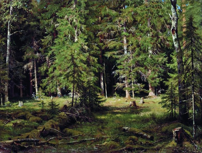 Forest. 1880 83h110, Ivan Ivanovich Shishkin