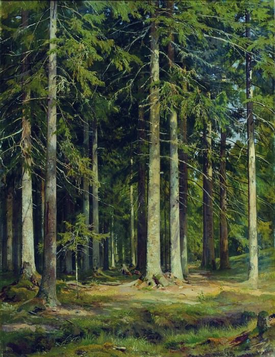 spruce forest 109h85 1891, Ivan Ivanovich Shishkin