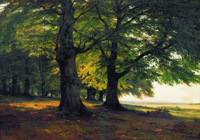 Teutoburg Forest 1865 67h95, Ivan Ivanovich Shishkin