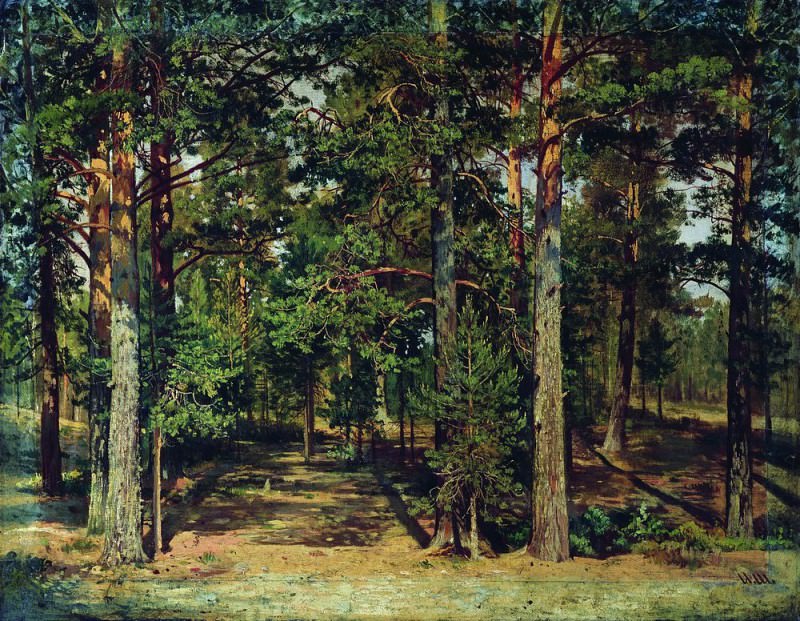 Pine forest 45h59, Ivan Ivanovich Shishkin