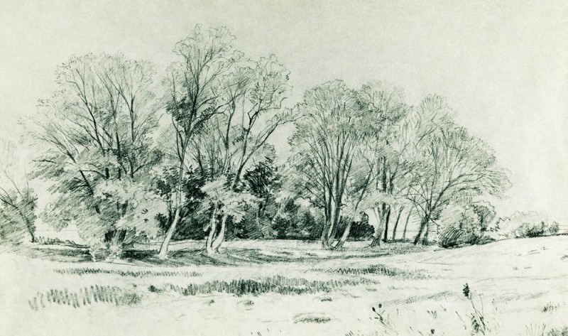 Деревья в поле. Братцево 1866 26х42, Иван Иванович Шишкин
