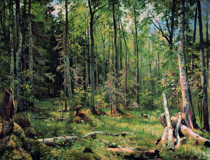 Смешанный лес 1888 83х101, Иван Иванович Шишкин