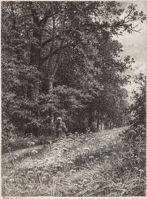 On the forest boundary line. 1878 23h17, Ivan Ivanovich Shishkin