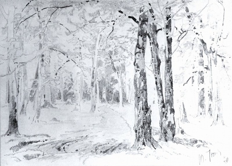 Road in the woods. End 1870 – beginning of 1880 23h35, Ivan Ivanovich Shishkin