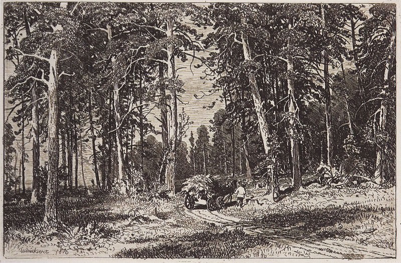 Outskirts of pine groves. 1876 9, 3h13, 3, Ivan Ivanovich Shishkin