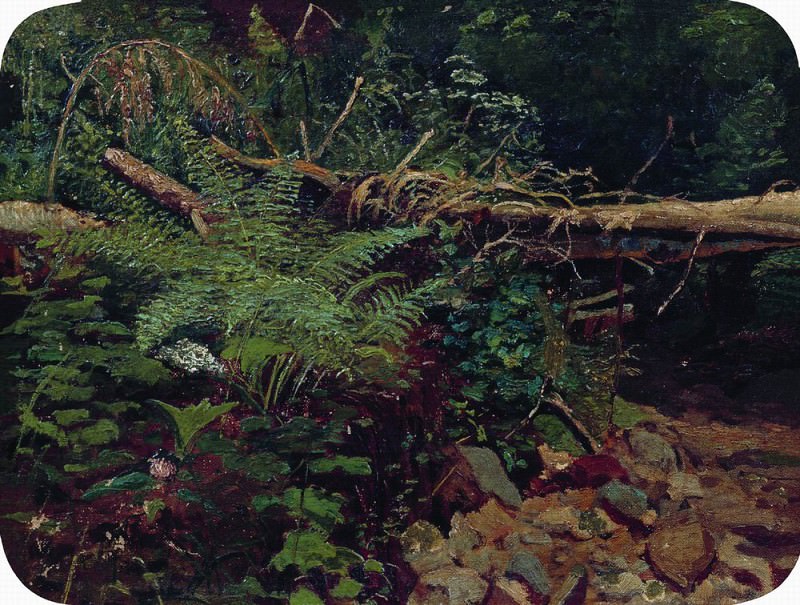 Landscape 1896 22H36, Ivan Ivanovich Shishkin