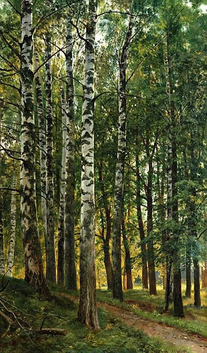 Birch Grove 1896 95. 5h70, Ivan Ivanovich Shishkin