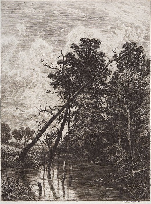 Swamp. 1892 32h24, Ivan Ivanovich Shishkin