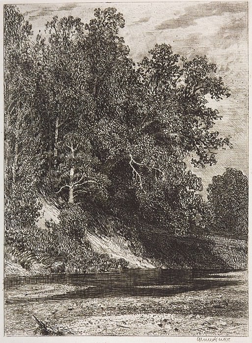 Forest on a steep bank. 1877 16, 1h12, Ivan Ivanovich Shishkin