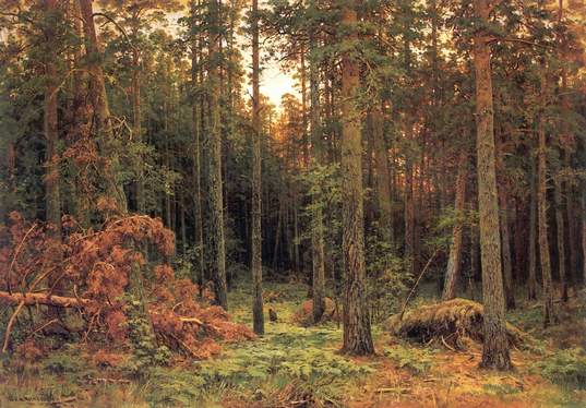 Сосновый лес1885, Иван Иванович Шишкин
